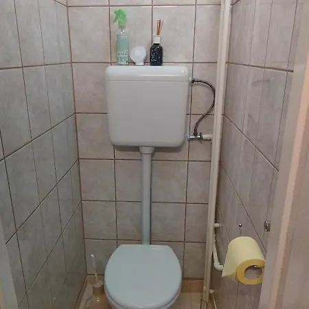 Rózsa *