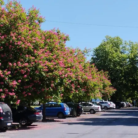 Apartmán Rozsa Lakas *