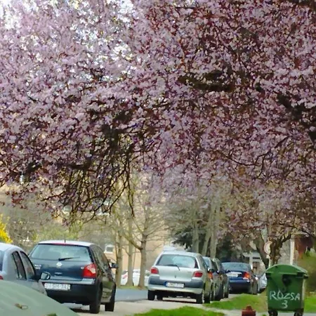 Apartmán Rozsa Lakas *