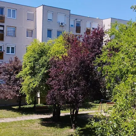 Apartmán Rozsa Lakas