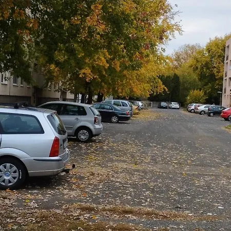 Rózsa *