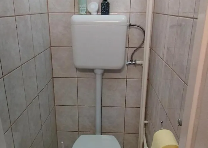 Rozsa Lakas *